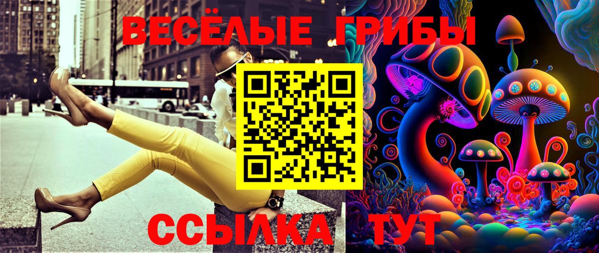 Псилоцибиновые грибы Cubensis  Вход с VPN  Батайск 